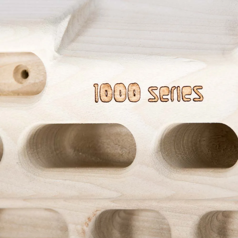 Beastmaker 1000 Hangboard