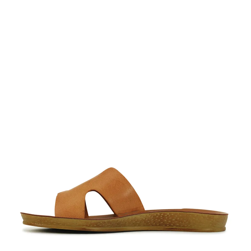 Bini Slides