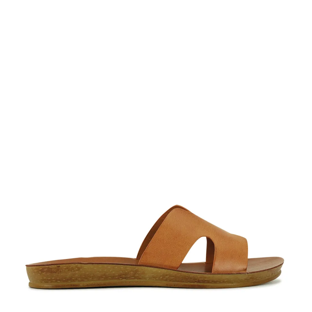 Bini Slides
