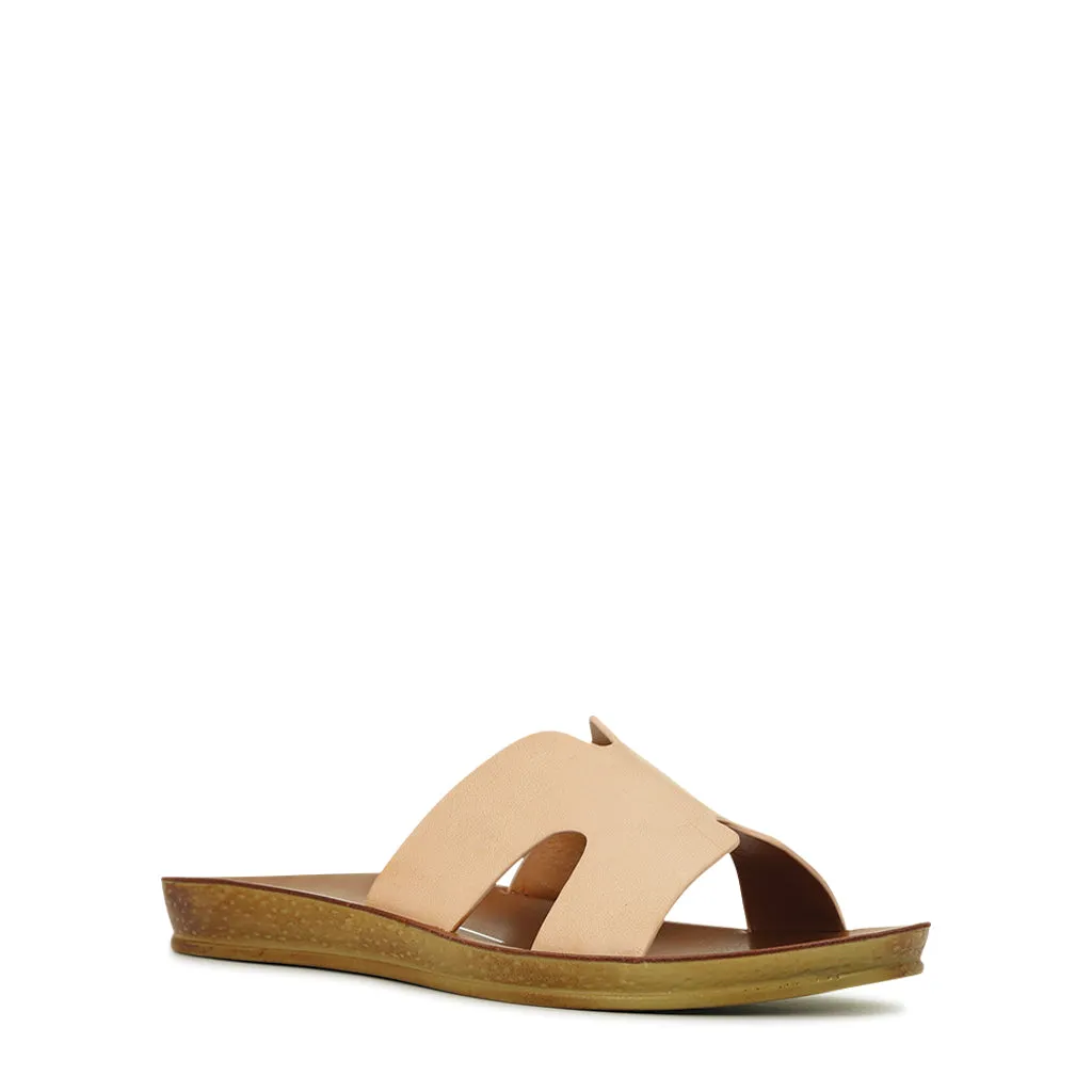 Bini Slides