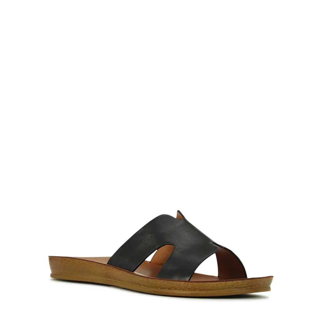 Bini Slides