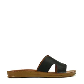Bini Slides
