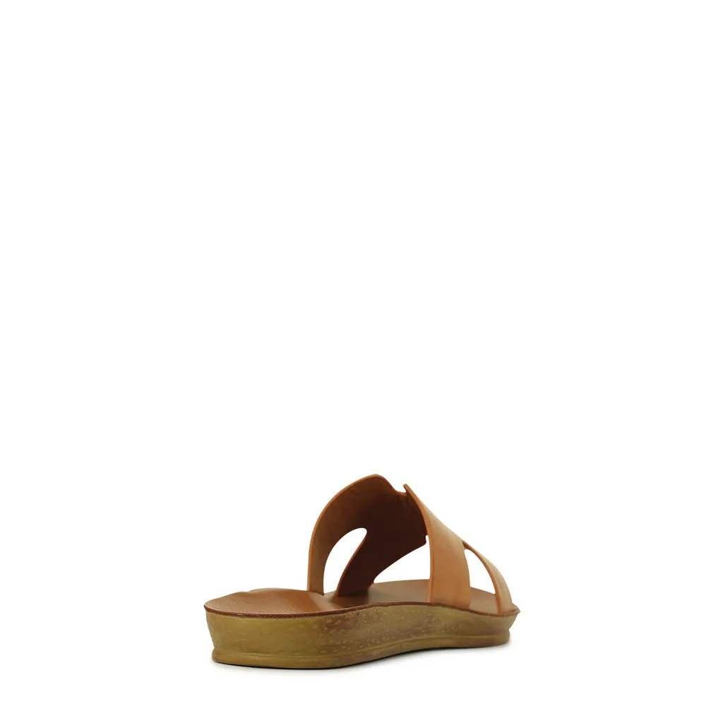 Bini Slides