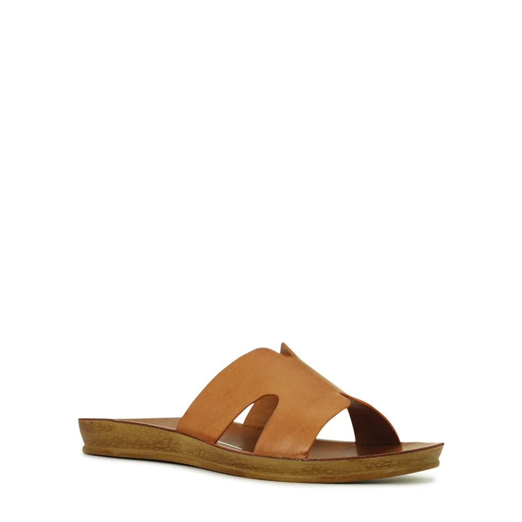 Bini Slides