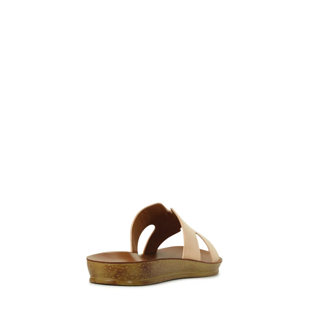 Bini Slides