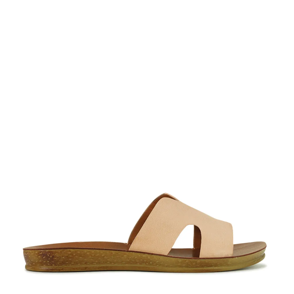 Bini Slides